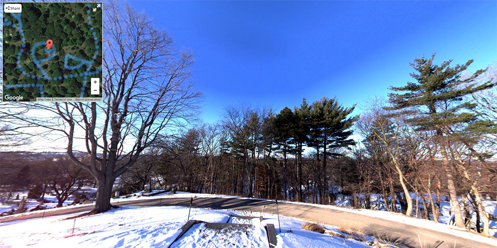 Cemetery 360 Mt. Auburn